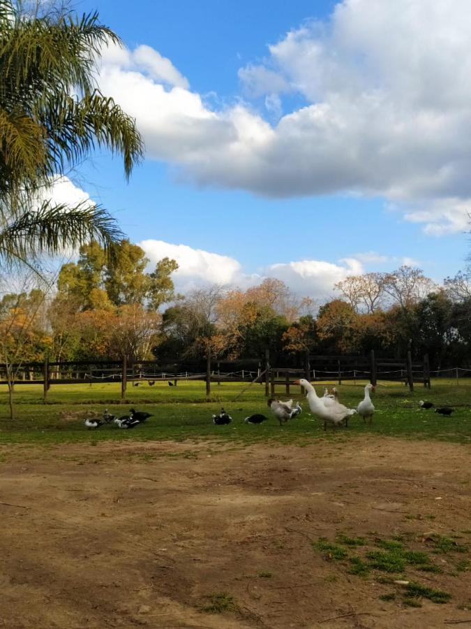 Finca La Pasionaria - Conectandonos Villa Belen de Escobar Luaran gambar